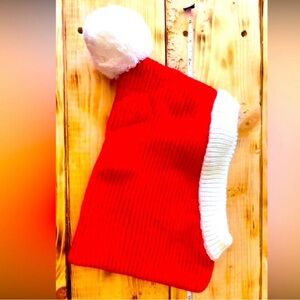 Dog Santa hat NWOT